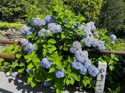 Holiday apartment Riposa - Outdoor photo 19