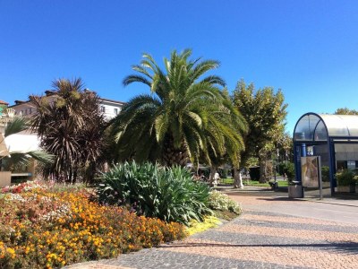 Holiday apartment Sogno Verde - Outdoor photo 30