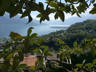 Holiday house Casa Sopralago - Outdoor photo 28