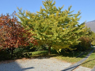 Holiday apartment Tista - Outdoor photo 20