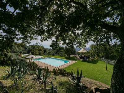 Holiday house Villa in Umbrien mit Salzwasserpool - Outdoor photo 9