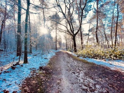 Holiday park Romantic Bungalow in Mook - Environment photo 32