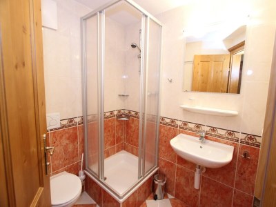 Chalet Chalet in Saalbach near Ski Lift - Features photo 16