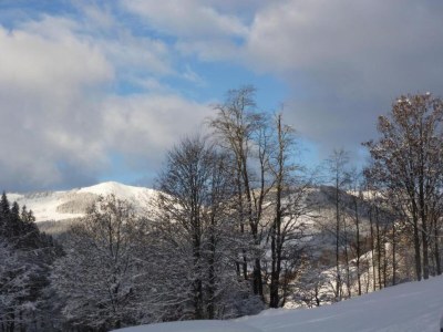 Chalet Chalet in Saalbach near Ski Lift - Environment photo 28