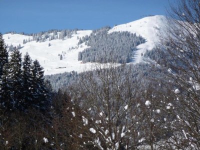 Chalet Detached Chalet in Saalbach - Environment photo 33