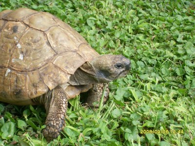 Holiday house No title - Outdoor photo 30