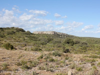 Holiday house Les Villas de la Garrigue in the district of Roquemer - Environment photo 15