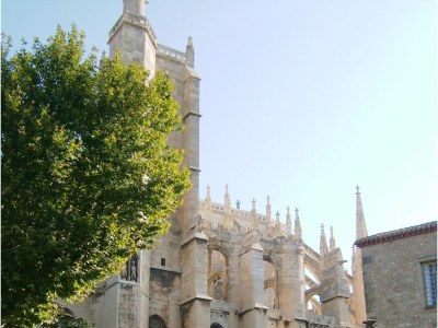 Holiday house Les Villas de la Garrigue in the district of Roquemer - Environment photo 17