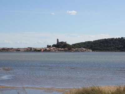 Holiday house Les Villas de la Garrigue in the district of Roquemer - Environment photo 18