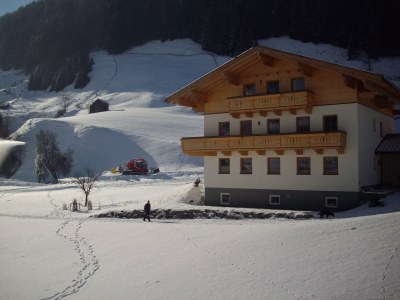 Holiday apartment Stapfgut - Outdoor photo 3