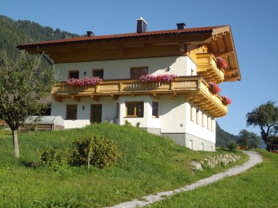 Holiday apartment Stapfgut - Outdoor photo 6