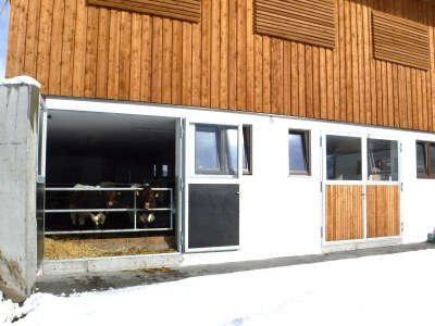 Holiday apartment Stapfgut - Environment photo 22