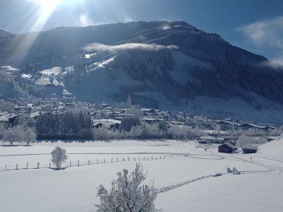 Holiday apartment Stapfgut - Environment photo 27