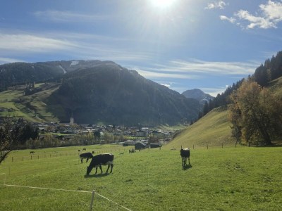 Holiday apartment Stapfgut - Environment photo 31