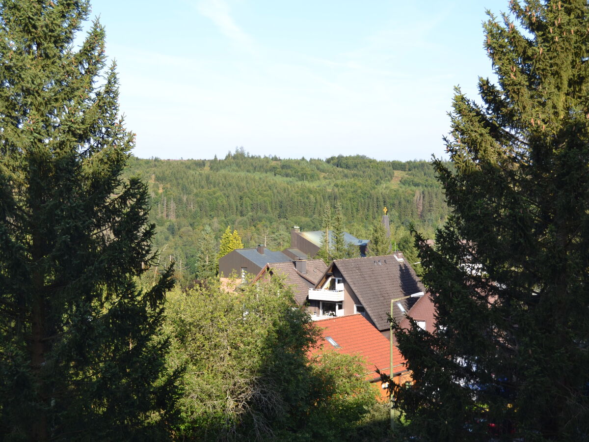 Holiday apartment Tinharz - Outdoor photo 4