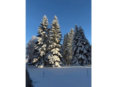 Holiday apartment Tinharz - Outdoor photo 5