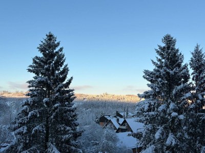 Holiday apartment Tinharz - Outdoor photo 7