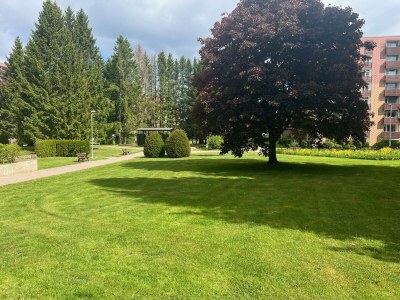 Holiday apartment Tinharz - Environment photo 21