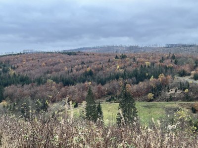 Holiday apartment Tinharz - Environment photo 22