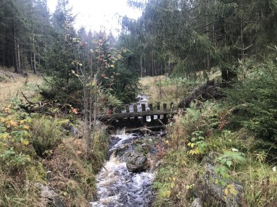 Holiday apartment Tinharz - Environment photo 23