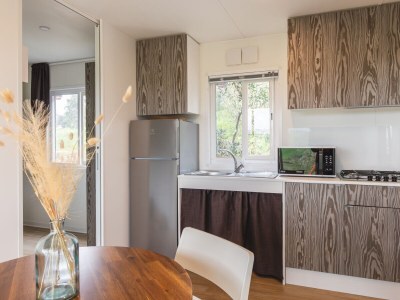 Mobile home Artemisia Dreamscape - Features photo 10