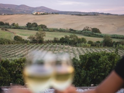 Mobile home Artemisia Dreamscape - Environment photo 32