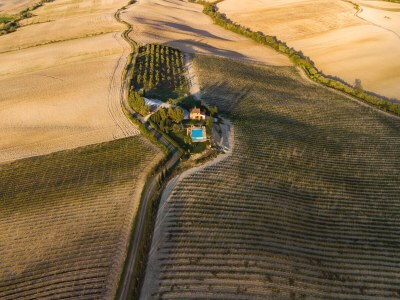 Apartment Michelangelo - Environment photo 14