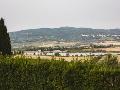 Apartment Michelangelo - Environment photo 15