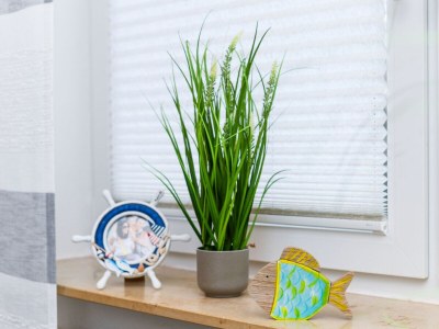 Holiday apartment Strandkorb 4 - Features photo 6