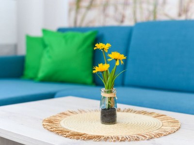 Holiday apartment Strandkorb 5 - Features photo 11