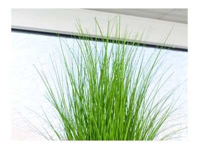 Holiday apartment Strandkorb 5 - Features photo 18