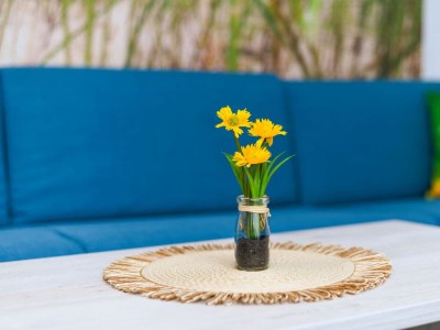 Holiday apartment Apartments Strandkorb 7 - Features photo 6