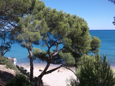 Holiday house Casa Pepe - Environment photo 18