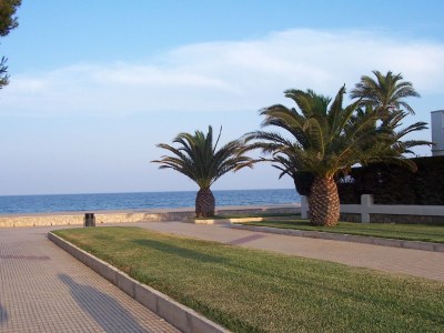 Holiday house Casa Pepe - Environment photo 21