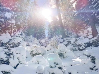 Apartment Wohnung in Zillertal nahe Skipisten - Environment photo 28