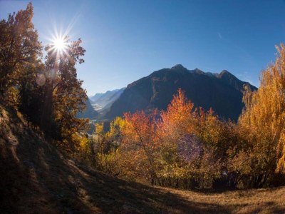 Apartment Wohnung in Zillertal nahe Skipisten - Environment photo 34