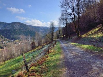 Chalet Chalet in St Maurice near Ballon d'Alsace - Environment photo 38