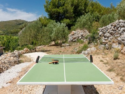 Holiday house Stone House Prapatna-Two Bedroom Holiday Home with Swimming Pool - Outdoor photo 9