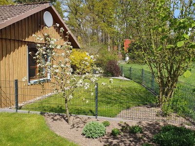 Holiday house Herzogstadt Celle - Outdoor photo 14