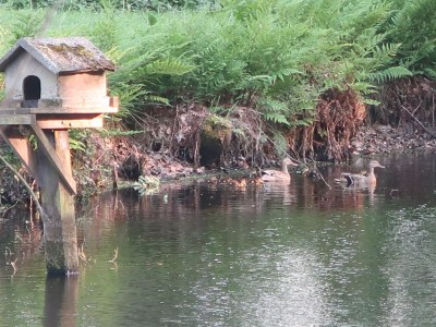 Holiday house Herzogstadt Celle - Environment photo 23