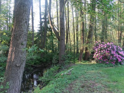 Holiday house Herzogstadt Celle - Environment photo 24