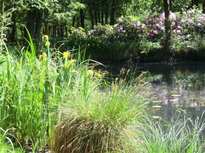 Holiday house Herzogstadt Celle - Environment photo 25