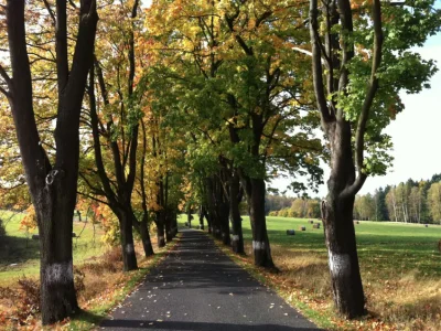 Holiday apartment Kleber - Environment photo 19