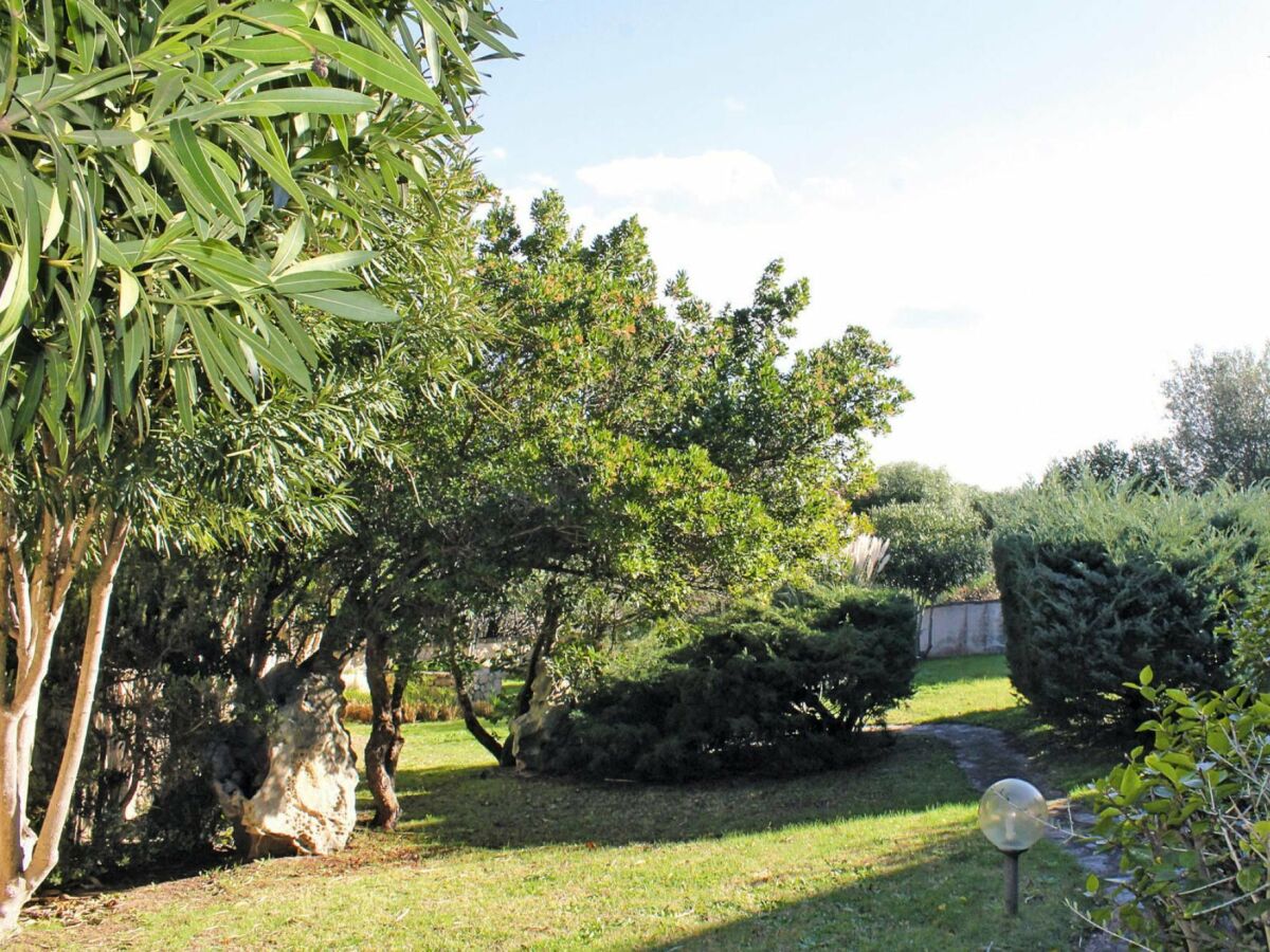 Holiday park Studio in Cannigione - Outdoor photo 4