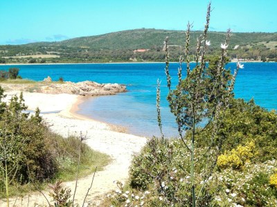 Holiday park Studio in Cannigione - Environment photo 22