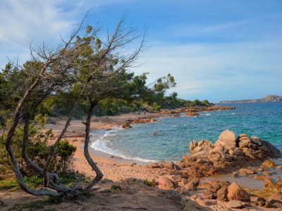 Holiday park Studio in Cannigione - Environment photo 25