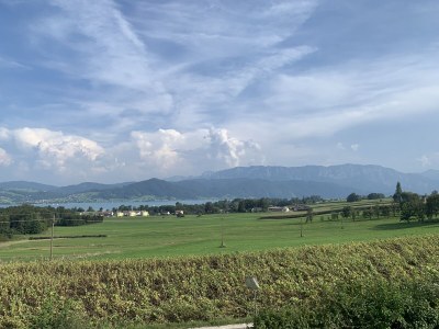 Holiday house Panoramavilla Malerhügel - Environment photo 30