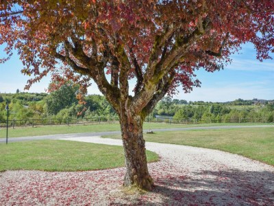 Holiday park Ferienhaus in Dordogne Estate - Outdoor photo 4