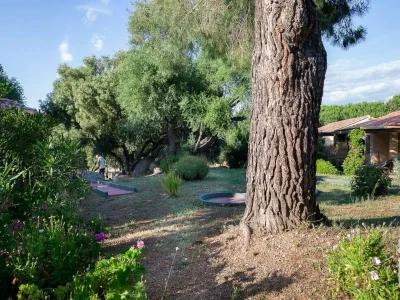 Holiday house Apartment in Serra-di-Ferro with Bay Views - Environment photo 14