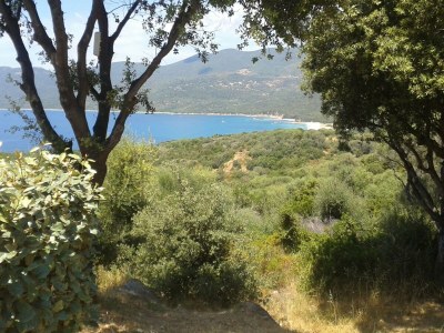 Holiday house Apartment in Serra-di-Ferro with Bay Views - Outdoor photo 18